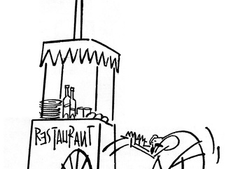 
                                                            turhan selcuk turkey 97