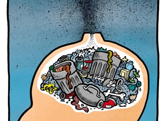 pedro ribeiro ferreira 11