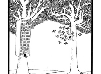 
                                                            zygmunt zaradkiewicz poland 28