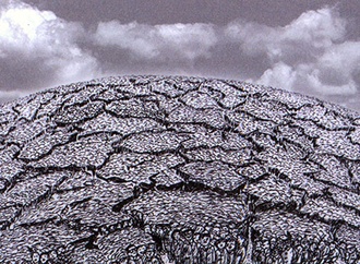 
                                                            zhang wei china
