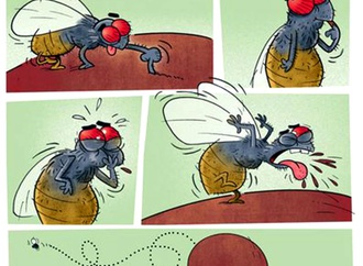 
                                                            mohsen izadi iran 45