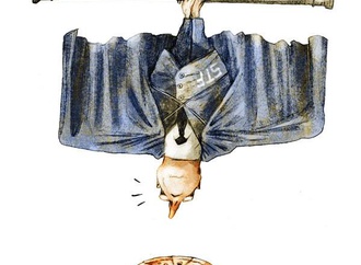 
                                                            cau gomez brazil 169