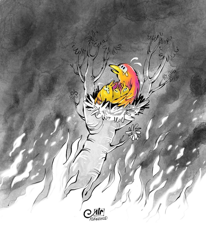 By: علی پاک نهاد