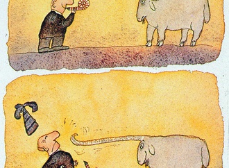 
                                                            fernando puig rosado 6