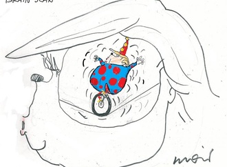 
                                                            alan moir australia 5