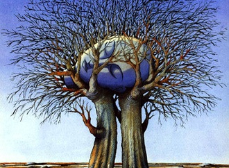 
                                                            selcuk demirel turkey 3