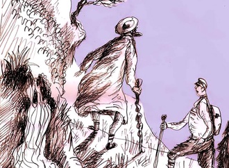 
                                                            daniel maja france 45