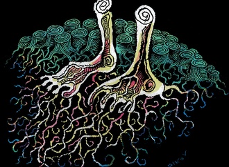 
                                                            milko dikov 4 bulgaria