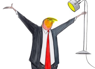 
                                                            ann telnaes sweden 6