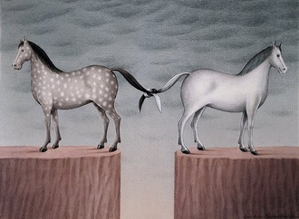 
                                                            gurbuz dogan eksioglu turkey 139