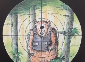 
                                                            alfons vos de werterlo belgica