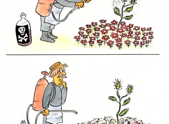 
                                                            vladimir pavlik slovakia 139