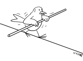 
                                                            necdet yilmaz turkey 97