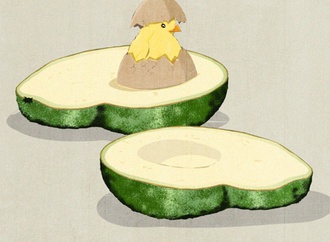 
                                                            andrea ucini denmark 71