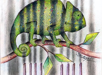 
                                                            nahid maghsoudi 8