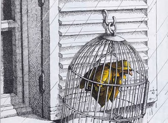 
                                                            claude serre france 38