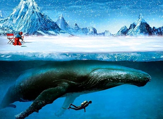 
                                                            igor morski from poland 46