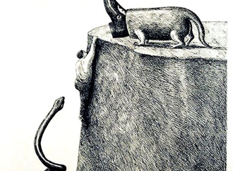 
                                                            roland topor france 65