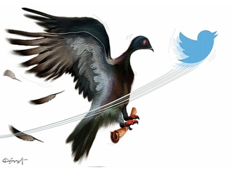 
                                                            kursat zaman turkey 12