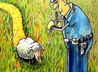 
                                                            george licurici romania 15