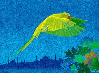 
                                                            necdet yilmaz turkey 99