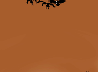 
                                                            muammer kotbas turkey 1