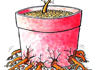 
                                                            atila_ozer_ turkey_57