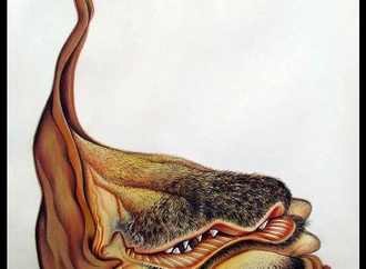 
                                                            antonio santos 12