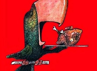 
                                                            silvano mello brazil 45