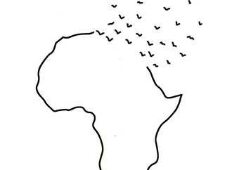 
                                                            necdet yilmaz turkey 152