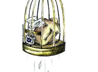 
                                                            amir barazani iran 1