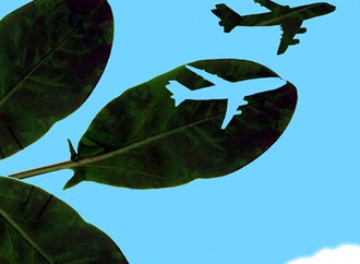 
                                                            selcuk demirel turkey 12