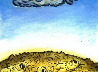 
                                                            mohsen asadi 11