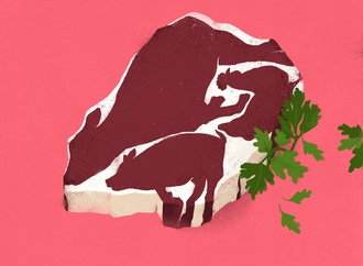 
                                                            sebastien thibault france 11