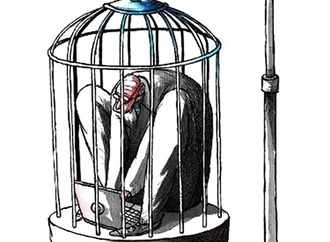 
                                                            silvano mello brazil 7