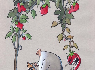 
                                                            musa gumus turkey 52