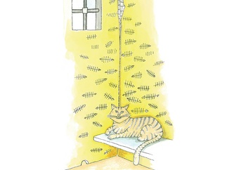 
                                                            mehmet selcuk turkey