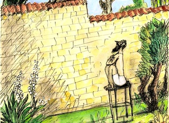 
                                                            daniel maja france 23