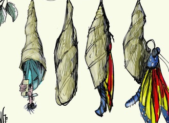 دگردیسی