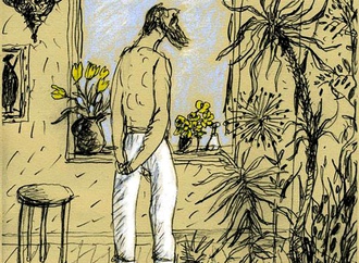 
                                                            daniel maja france 17