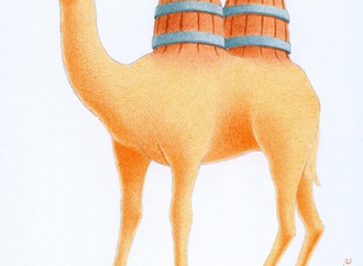 
                                                            paolo dalponte italy 32