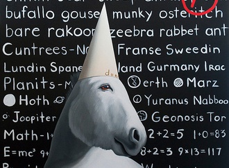 robert deyber usa 25