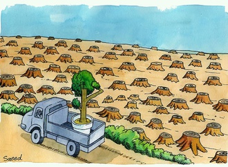 
                                                            saeed sadeghi 1 iran