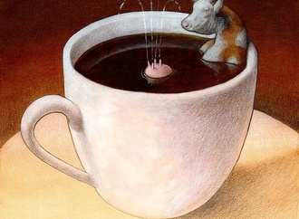 
                                                            pawel kuczynski poland23