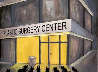 
                                                            menekse cam turkey 12