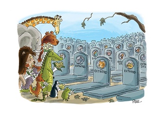 
                                                            pedro penizzotto argentina