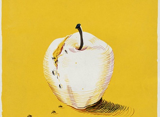 
                                                            daniel stolle germany 37