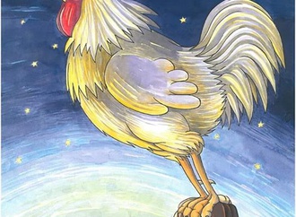 
                                                            miro stefanovic serbia 27