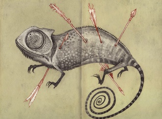 
                                                            audrey benjaminsen usa 29