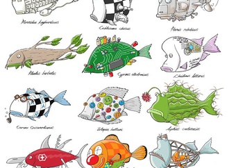 
                                                            engin selcuk turkey 8